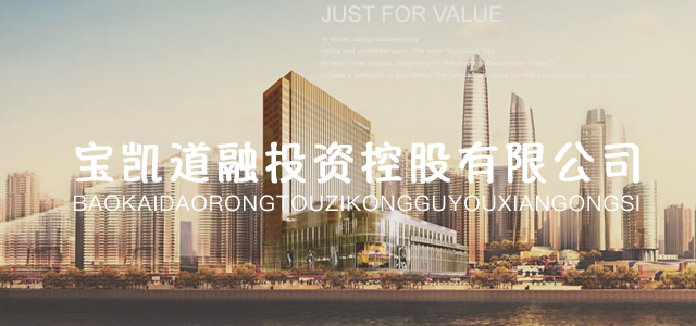 宝凯道融投资控股有限公司 宝凯道融投资控股有限公司